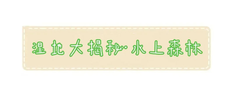 89a8db38972b49c328e8e828b5efb406 imgi_16_640.jpg